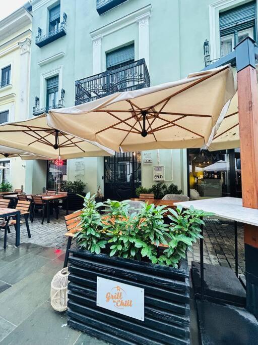 شقة Hidden Gem In The Old Town تيميشورا المظهر الخارجي الصورة